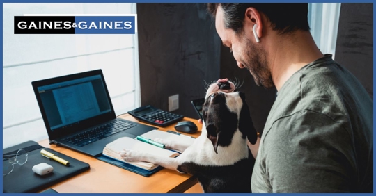 A man working at home with his dog
